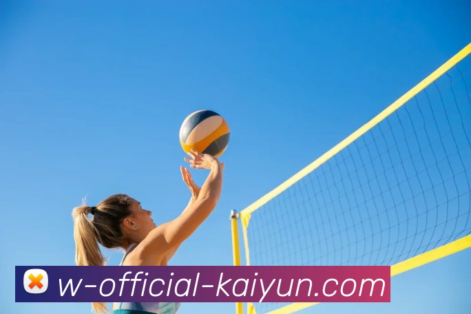 kaiyun平台生态图